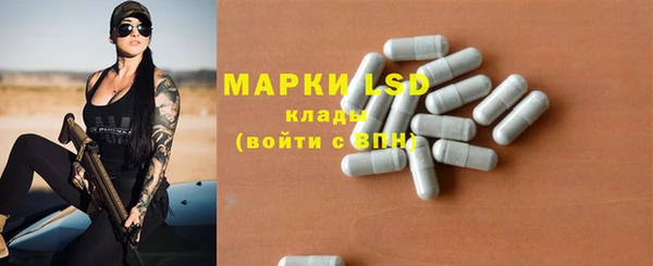 apvp Алексин