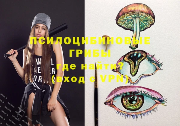 ECSTASY Абинск