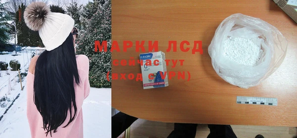 спайс Алзамай