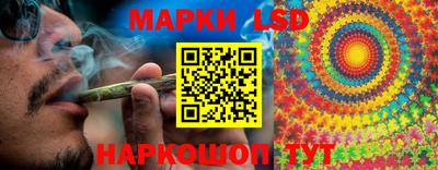 кокс Гай
