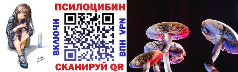 закладка  Новочеркасск  Псилоцибиновые грибы Cubensis 
