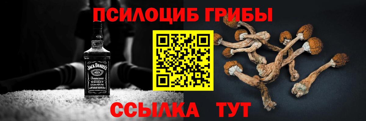 Псилоцибиновые грибы мицелий  Галлюциногенные грибы мухоморы  Новочеркасск  Вход с VPN 